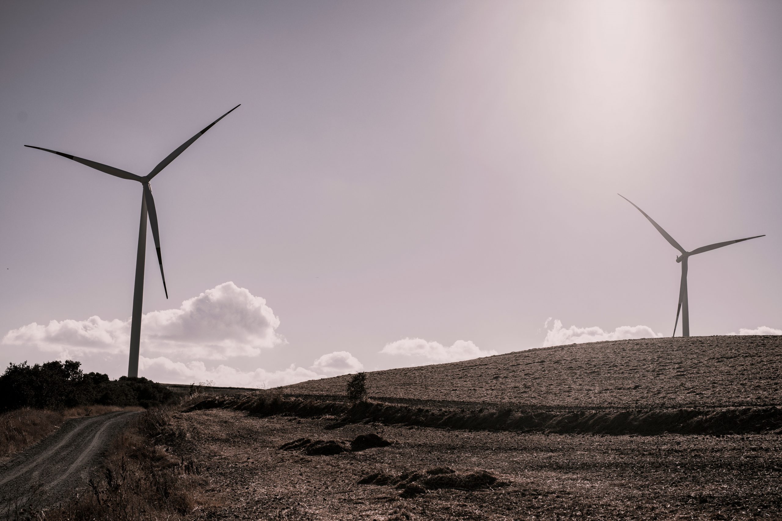 Turquía apunta a la huella climática de la IA como prioridad a tratar en la COP31