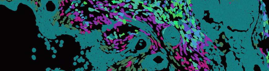 La ciencia descifra cómo se va extendiendo el herpes por la piel