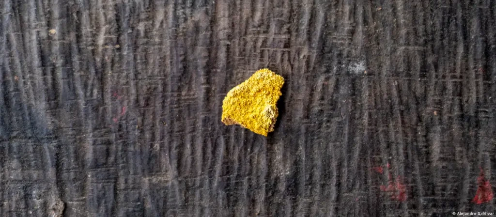 oro/Alejandro Saldiva
