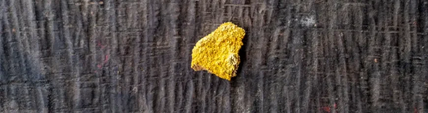 Minería ilegal de oro en la Amazonía: alerta por mercurio