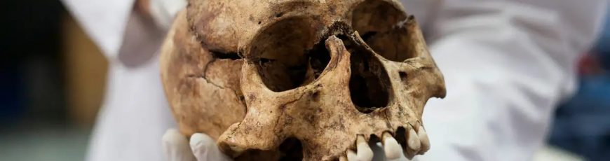 Cráneos de 5.000 años revelan sacrificios humanos en Egipto