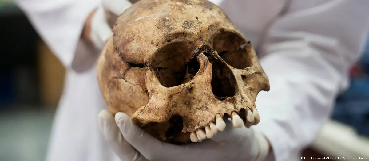 Cráneos de 5.000 años revelan sacrificios humanos en Egipto