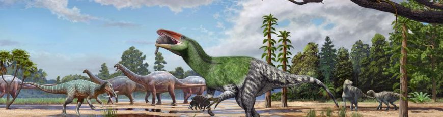 Un dinosaurio desconocido pasó más de 100 años olvidado en un cajón