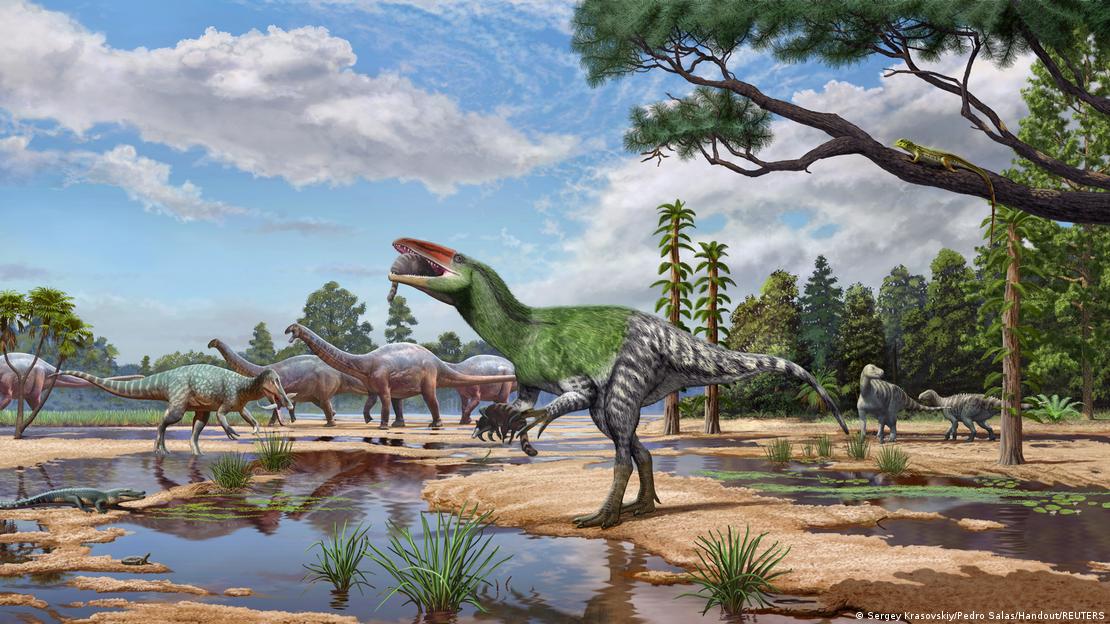 Un dinosaurio desconocido pasó más de 100 años olvidado en un cajón