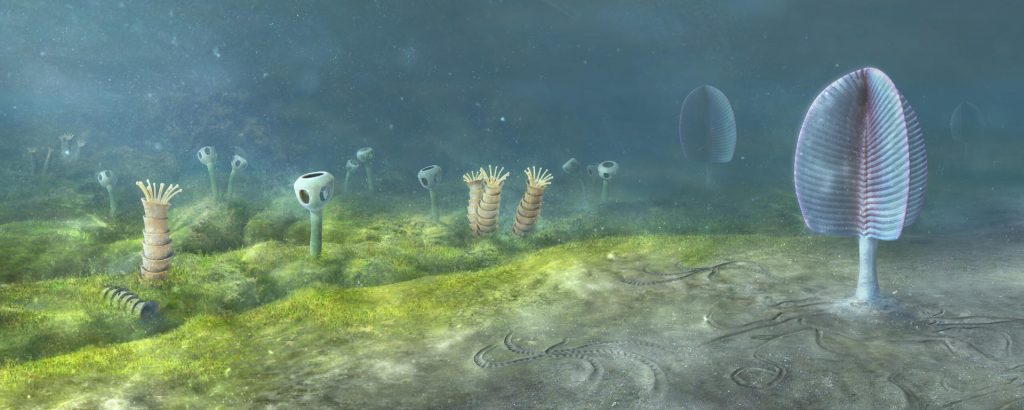 Museo de Historia Natural, Universidad de Oxford / Mighty Fossils.
