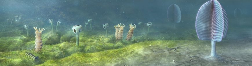 ¿Y si los animales surgieron 200 millones de años antes de lo que muestra registro fósil?