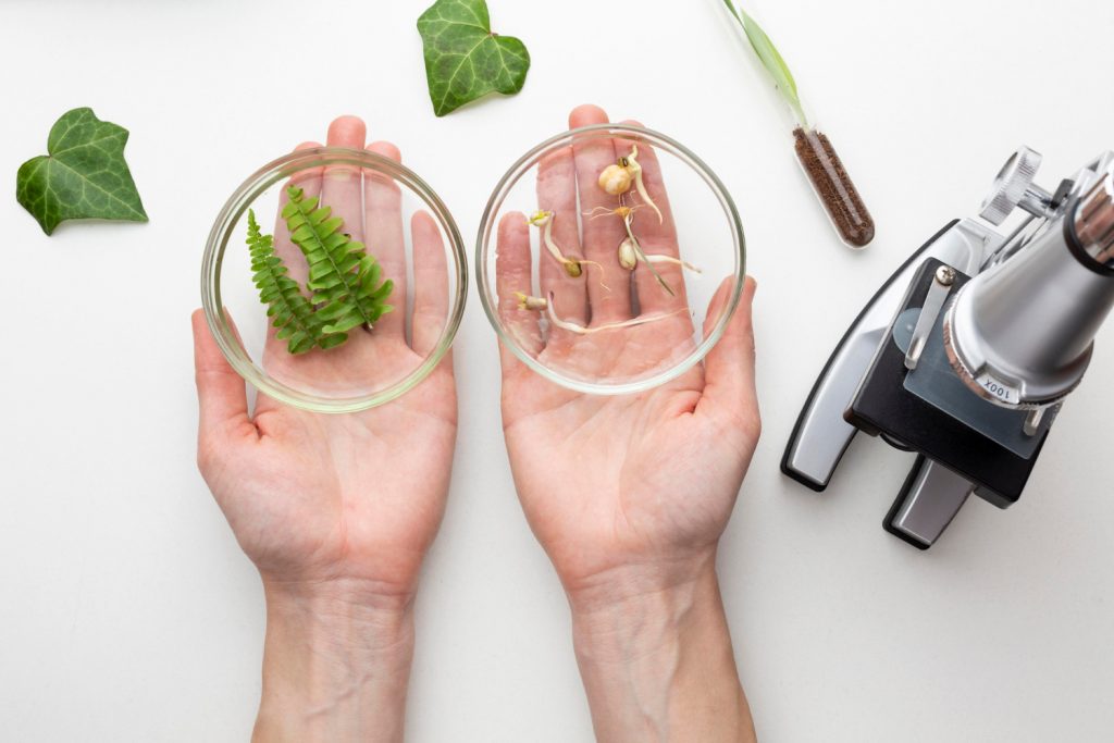 https___www.magnific.com_free-photo_close-up-hands-holding-glassware_11520923.htm#fromView=search&page=1&position=15&uuid=1a5e5e2e-0b1f-48c3-b871-98b9b5661224&track=ais_hybrid&que.jpg