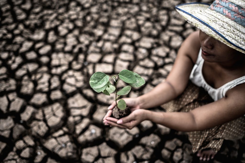 Magnific-https___www.magnific.com_free-photo_women-are-sitting-holding-seedlings-are-dry-land-warming-world_5469313.htm#fromView=search&page=1&position=22&uuid=d4d54812-fd4f-41e8-9b9f-6ca.jpg