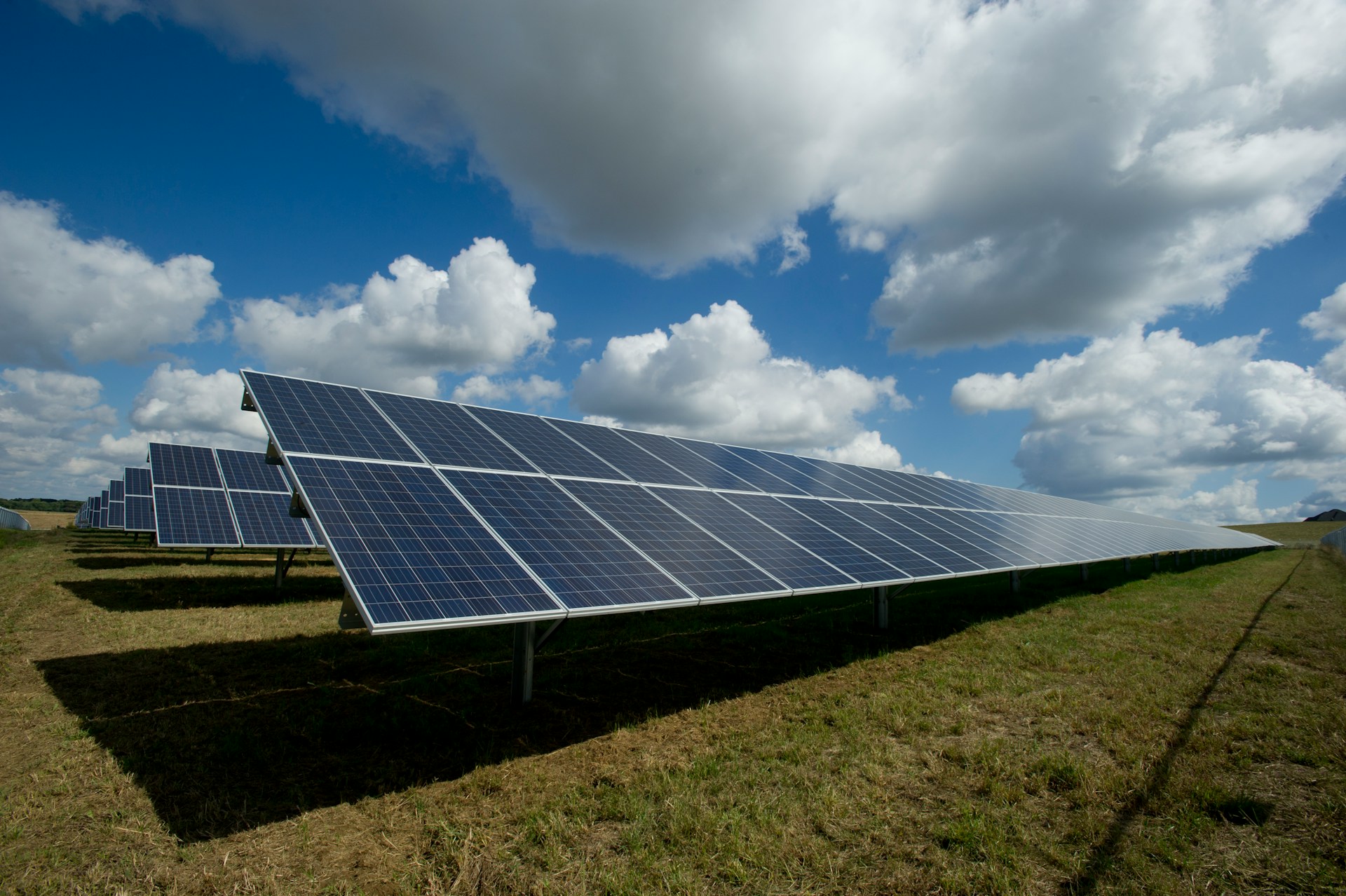 ¿Cómo equilibrar placas solares y agricultura?