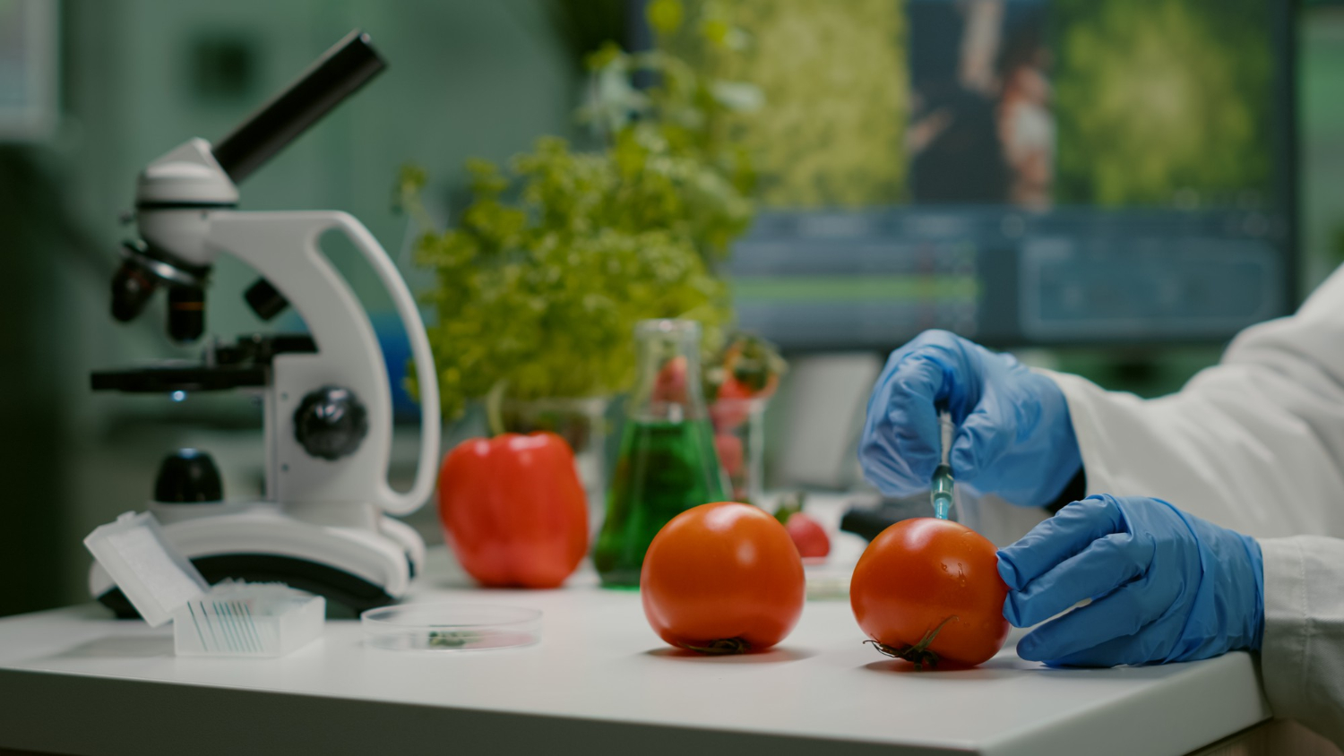 Existen riesgos de la modificación genética de alimentos