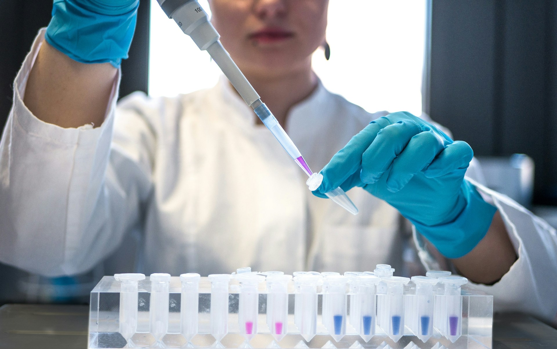 Panamá busca fortalecer la bioseguridad de los OGM
