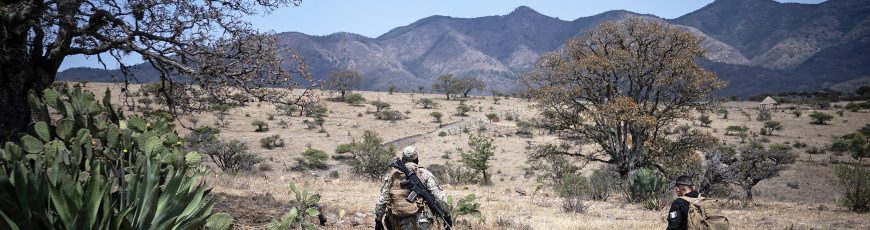 Nuevas herramientas de IA prometen ayuda para hallar desaparecidos en México