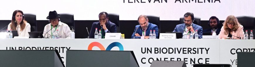 La COP17 sobre biodiversidad encara su recta final sin visos de consenso