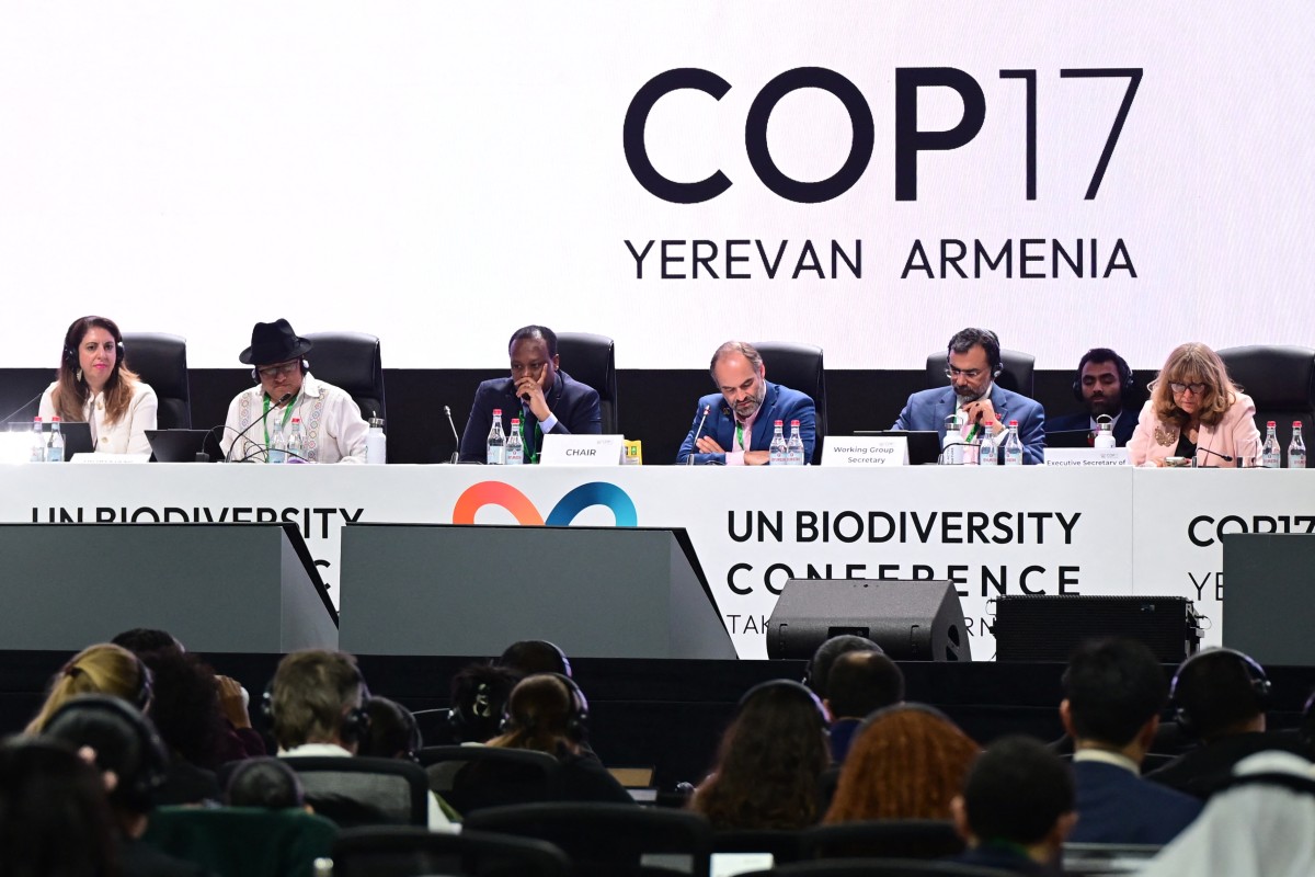 La COP17 sobre biodiversidad encara su recta final sin visos de consenso