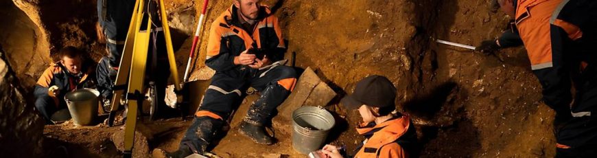 Descubren una nueva especie extinta de bóvido emparentada con los yaks