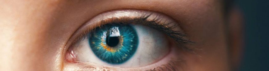 Esta es la razón por la que el hemisferio derecho del cerebro controla el lado izquierdo del cuerpo