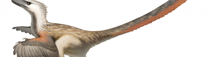 Del tiranosaurio-canguro al diplodocus-cocodrilo: patinazos históricos de la ciencia de los dinosaurios