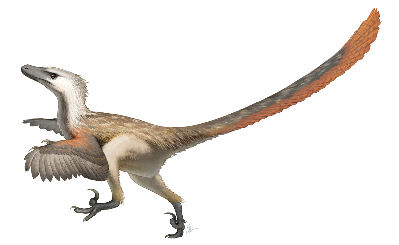 Del tiranosaurio-canguro al diplodocus-cocodrilo: patinazos históricos de la ciencia de los dinosaurios