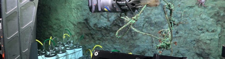 Hallan desechos plásticos en cañón submarino aislado y profundo