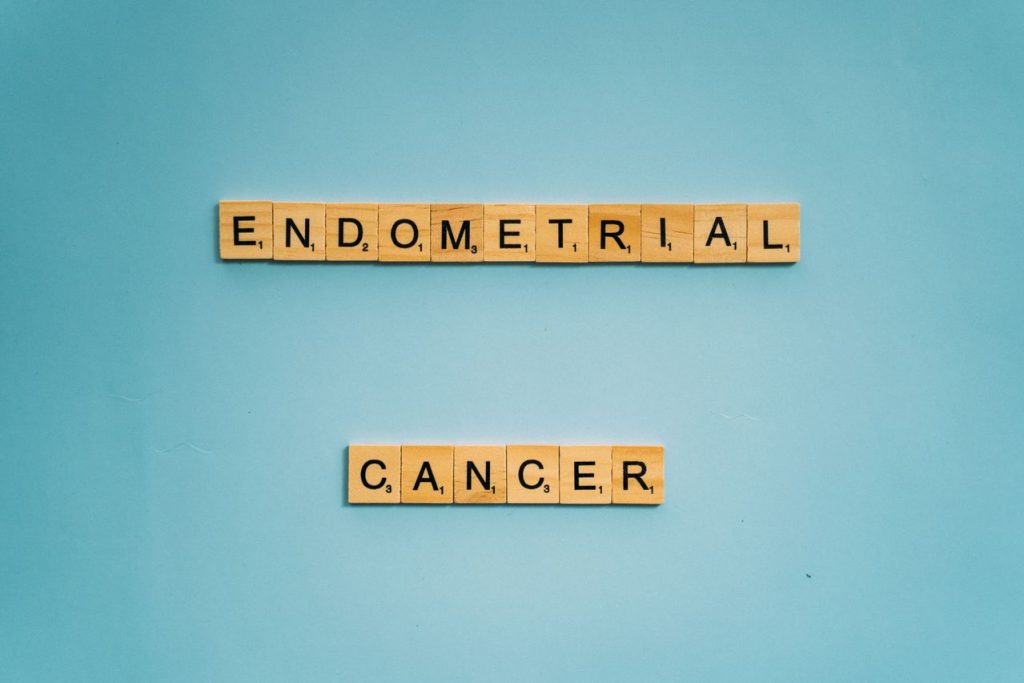 Endometrio/Anna Tarazevich/Pexels