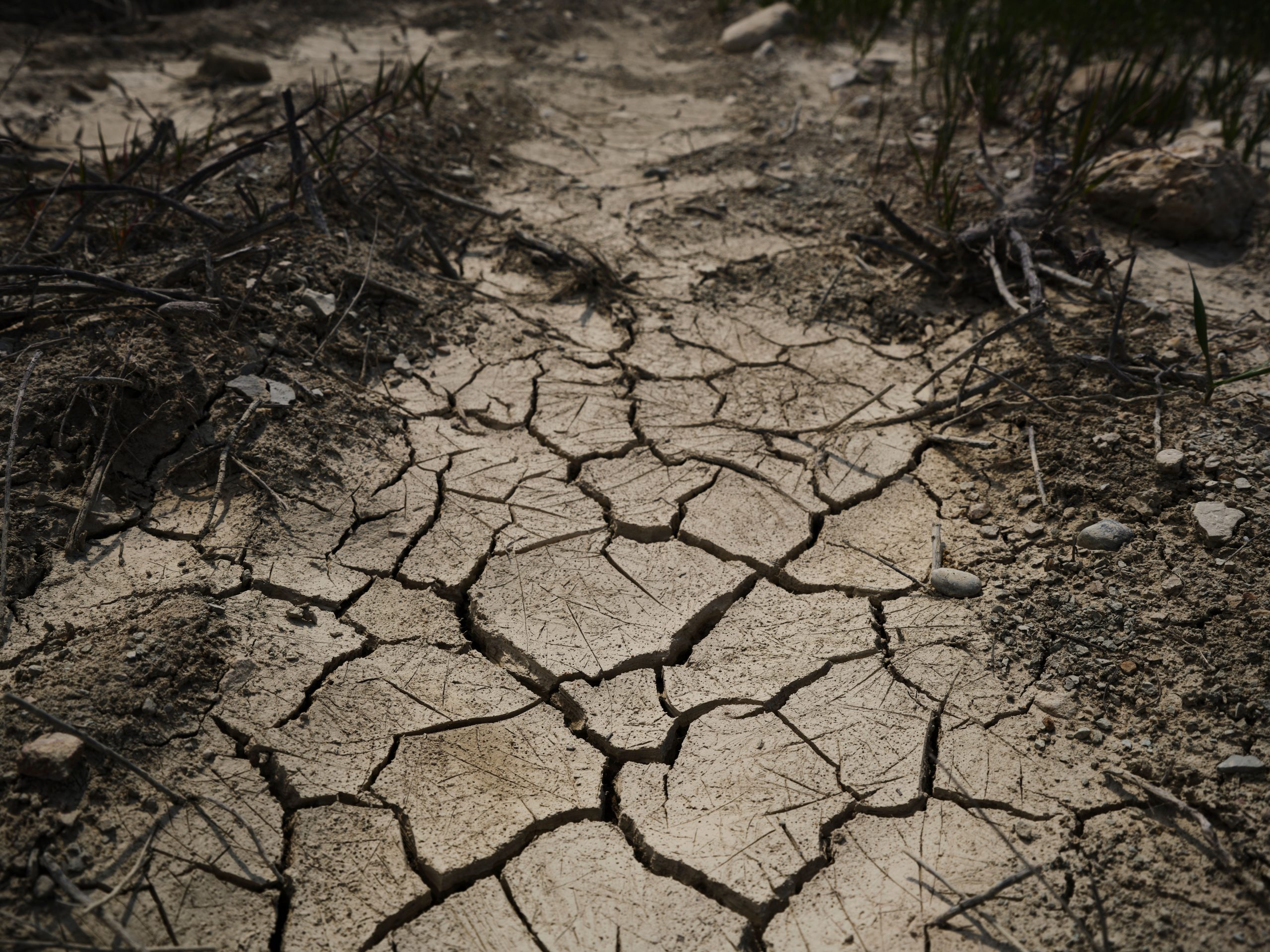 Millones de personas podrían tener que abandonar sus hogares por el cambio climático en el sudeste asiático