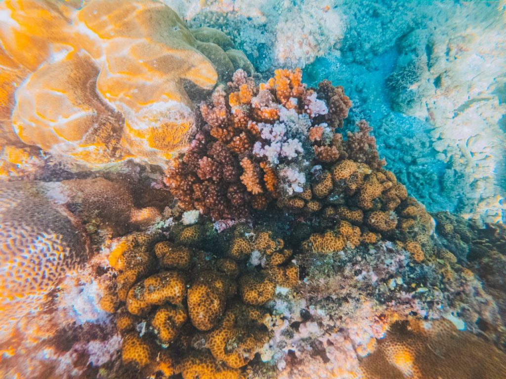 arrecife/Nothing Ahead/Pexels