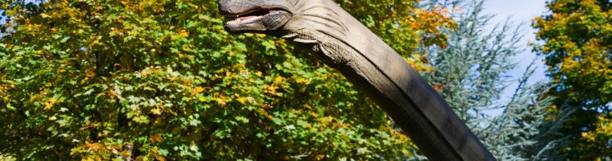 Hallan fósiles de una nueva especie de gran dinosaurio en un yacimiento submarino croata