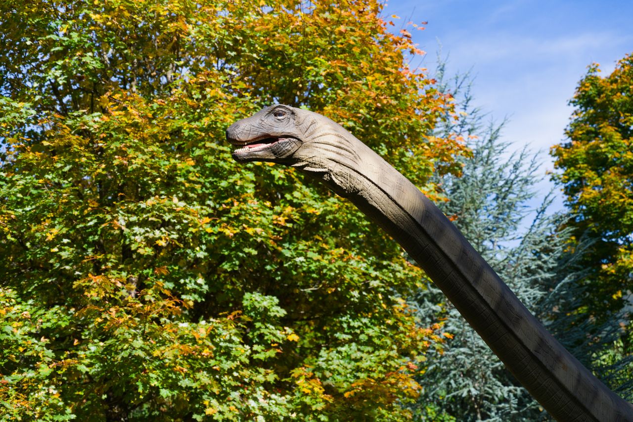 Hallan fósiles de una nueva especie de gran dinosaurio en un yacimiento submarino croata
