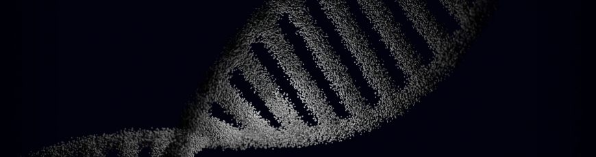 Una investigación constata que el ‘ADN basura’ interviene en el desarrollo embrionario