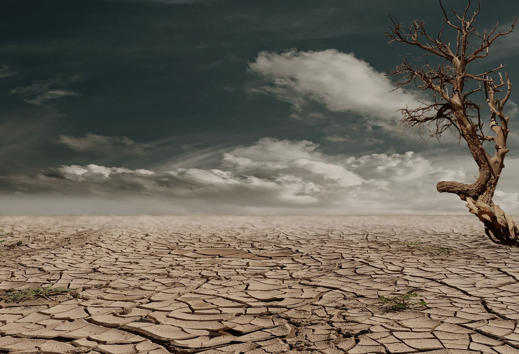 La ONU advierte que el calor extremo pone en riesgo los embarazos y los partos