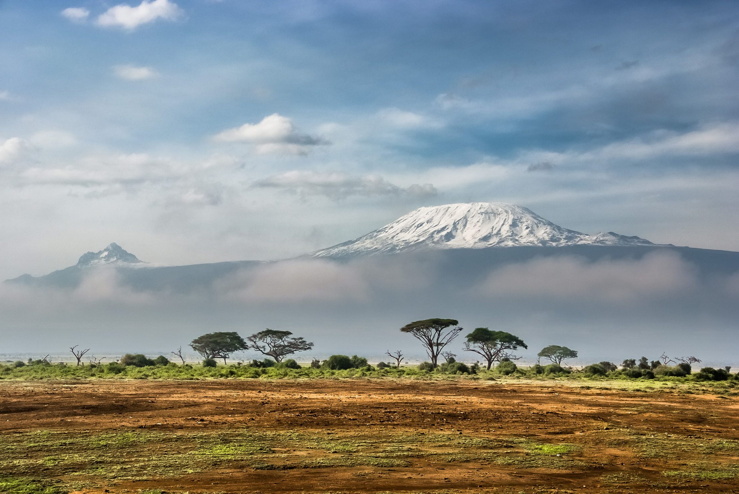 La cepa Bundibugyo del ébola amenaza con extenderse en África mientras se busca una vacuna