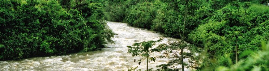 La deforestación en la Amazonía brasileña registró su nivel más bajo en casi 40 años