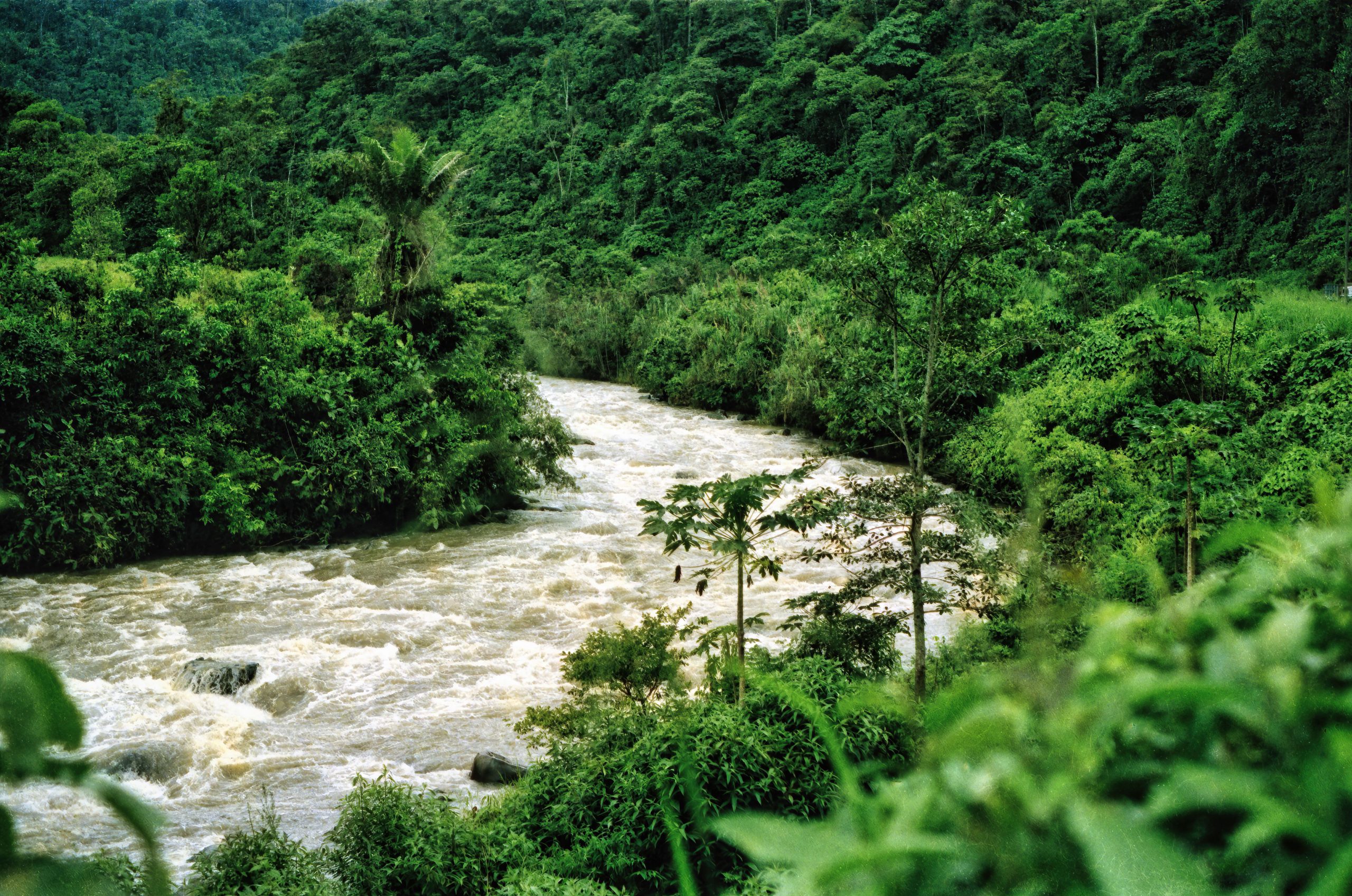La deforestación en la Amazonía brasileña registró su nivel más bajo en casi 40 años