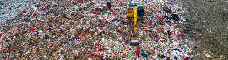La ONU acuerda negociar un protocolo específico contra los delitos ambientales