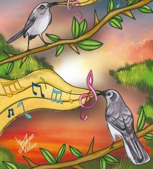 Imagen: Cortesía  Valeria Berrueco