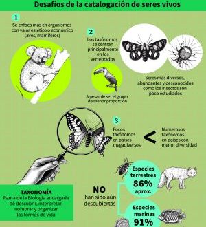 ar_biodiversidad_tus_ideas_03_31012025