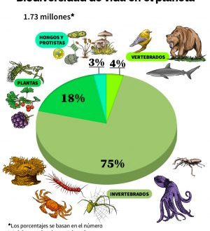 ar_biodiversidad_tus_ideas_31012025