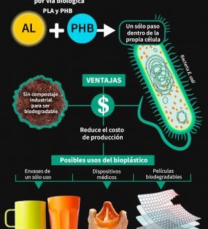 ar_bioplasticos_ibt_01_26022025