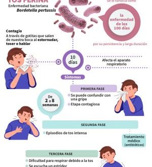 ar_tosferina_03_18032025