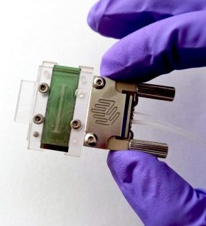 Minibiosensores para detectar el cáncer en minutos y a partir de una sola gota de muestra